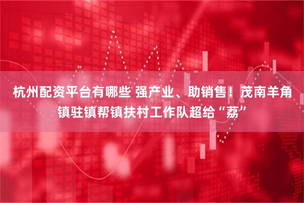 杭州配资平台有哪些 强产业、助销售！茂南羊角镇驻镇帮镇扶村工作队超给“荔”