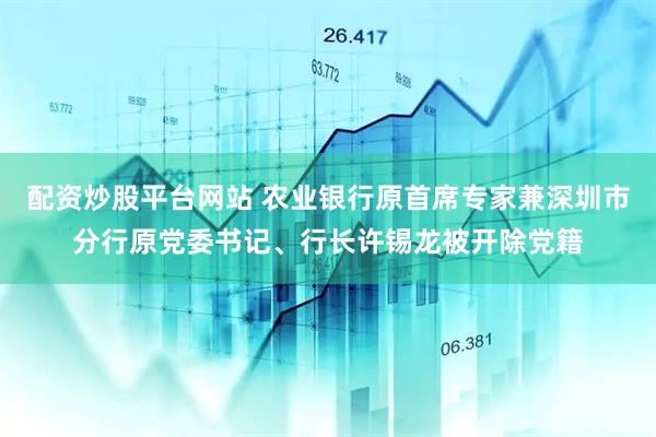 配资炒股平台网站 农业银行原首席专家兼深圳市分行原党委书记、行长许锡龙被开除党籍